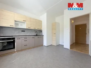 Pronájem bytu 1+1, Ústí nad Orlicí - Hylváty, Třebovská, 35 m2