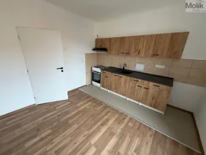 Pronájem bytu 2+1, Most, tř. Budovatelů, 56 m2