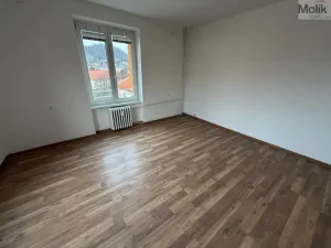 Pronájem bytu 2+1, Most, tř. Budovatelů, 56 m2