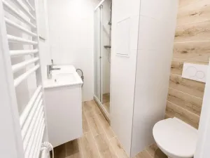 Pronájem bytu 3+1, Hradec Králové - Slezské Předměstí, Severní, 58 m2