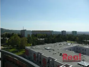 Pronájem bytu 1+1, Brno - Lesná, Haškova, 32 m2
