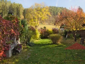 Pronájem rodinného domu, Rejštejn, Sokolovská, 130 m2