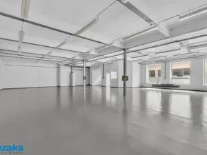 Pronájem výrobních prostor, Lanškroun, Opletalova, 476 m2