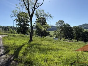 Prodej pozemku pro bydlení, Chudenín, 2119 m2