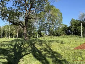 Prodej pozemku pro bydlení, Chudenín, 2119 m2