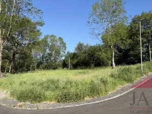 Prodej pozemku pro bydlení, Chudenín, 2119 m2