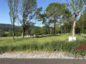 Prodej pozemku pro bydlení, Chudenín, 2119 m2