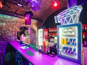 Pronájem komerční nemovitosti, Praha - Smíchov, Preslova, 250 m2