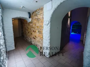 Pronájem komerční nemovitosti, Praha - Smíchov, Preslova, 250 m2