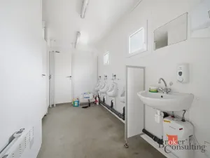 Pronájem skladu, Stěžery, 222 m2