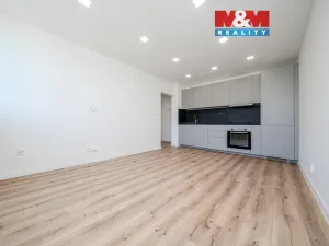 Prodej bytu 2+kk, Ostrava - Mariánské Hory, Marie Pujmanové, 40 m2