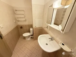 Pronájem bytu 1+kk, Praha - Újezd nad Lesy, Plhovská, 29 m2