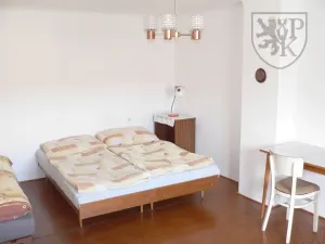 Prodej chalupy, Kocelovice, 490 m2