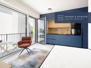 Pronájem bytu 1+kk, Brno, Koliště, 23 m2