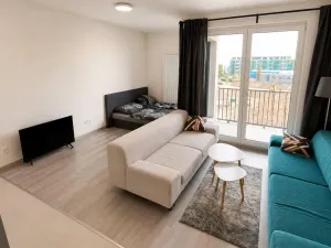 Pronájem bytu 1+kk, Praha - Žižkov, Olgy Havlové, 34 m2