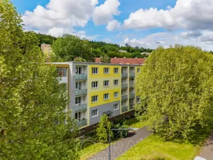 Prodej bytu 2+1, Litvínov - Horní Litvínov, Podkrušnohorská, 54 m2