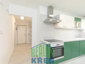 Pronájem bytu 2+1, Praha - Sedlec, V Sedlci, 52 m2