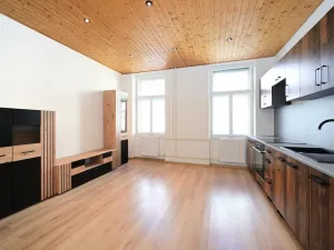 Pronájem bytu 4+kk, Praha - Žižkov, Milíčova, 100 m2