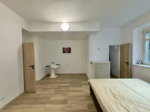 Pronájem bytu 1+1, Praha - Nusle, 5. května, 40 m2