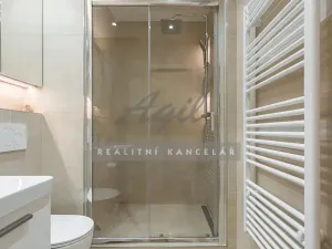 Pronájem bytu 1+1, Šlapanice, 30 m2