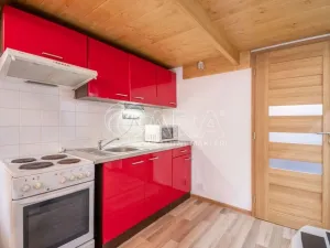 Pronájem bytu 1+kk, Praha - Libeň, Pod Labuťkou, 45 m2