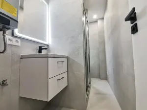 Prodej bytu 2+kk, Praha - Žižkov, Rečkova, 58 m2