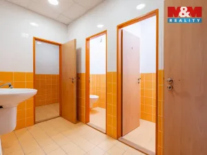 Prodej obchodního prostoru, Žďár nad Sázavou - Žďár nad Sázavou 1, Brněnská, 1224 m2