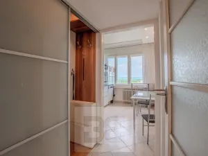 Prodej bytu 3+1, Praha - Vinohrady, Písecká, 79 m2