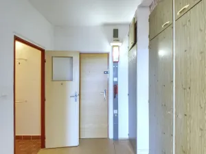 Prodej bytu 1+kk, Plzeň - Severní Předměstí, Hodonínská, 31 m2