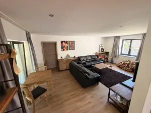 Prodej rodinného domu, Ústí nad Labem, Říční, 250 m2