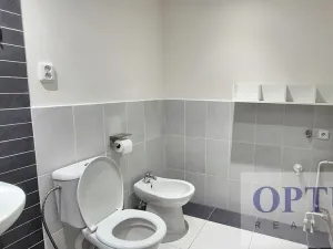 Pronájem rodinného domu, Praha - Háje, K jezeru, 302 m2