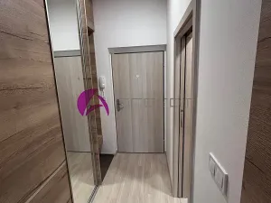 Pronájem bytu 1+kk, Olomouc, Wolkerova, 30 m2