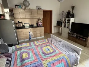 Pronájem bytu 1+kk, Olomouc, Wolkerova, 36 m2
