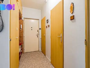 Prodej bytu 3+1, Ostrava, Holasova, 74 m2