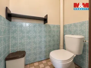 Prodej rodinného domu, Plazy, 165 m2