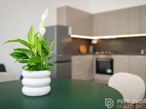Prodej bytu 3+kk, Praha - Karlín, U invalidovny, 71 m2