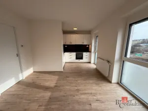Pronájem bytu 1+kk, Hořovice, Pšeničná, 31 m2