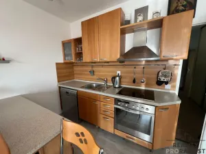 Pronájem bytu 2+kk, Brno, Kociánka, 48 m2