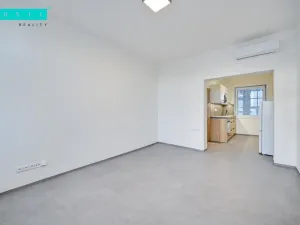 Prodej bytu 1+1, Šternberk, Potoční, 35 m2