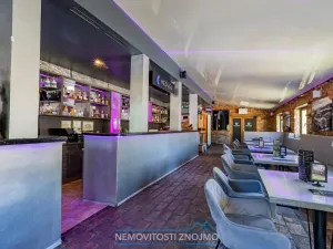 Prodej obchodního prostoru, Znojmo, Sokolská, 547 m2