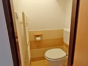 Prodej bytu 3+1, Dolní Čermná, 74 m2