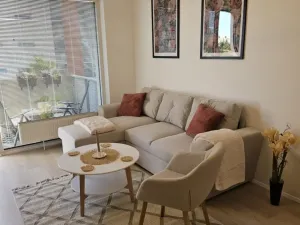 Pronájem bytu 2+kk, Plzeň - Severní Předměstí, Mutěnická, 59 m2