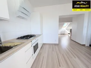 Pronájem bytu 1+1, Opava, Nákladní, 43 m2