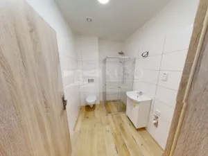 Pronájem bytu 1+kk, Příbram, Gen. R. Tesaříka, 43 m2