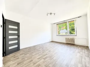 Pronájem bytu 2+1, Ústí nad Labem - Střekov, Novoveská, 60 m2