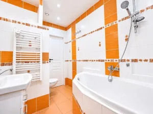 Pronájem bytu 2+1, Ústí nad Labem - Střekov, Novoveská, 60 m2
