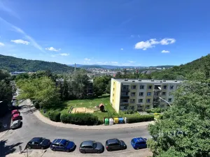 Pronájem bytu 2+1, Ústí nad Labem - Střekov, Novoveská, 60 m2