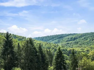 Prodej chaty, Radějov, 75 m2