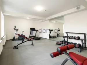 Pronájem bytu 2+kk, Praha, Perucká, 37 m2