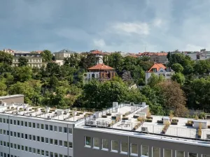 Pronájem bytu 2+kk, Praha, Perucká, 37 m2